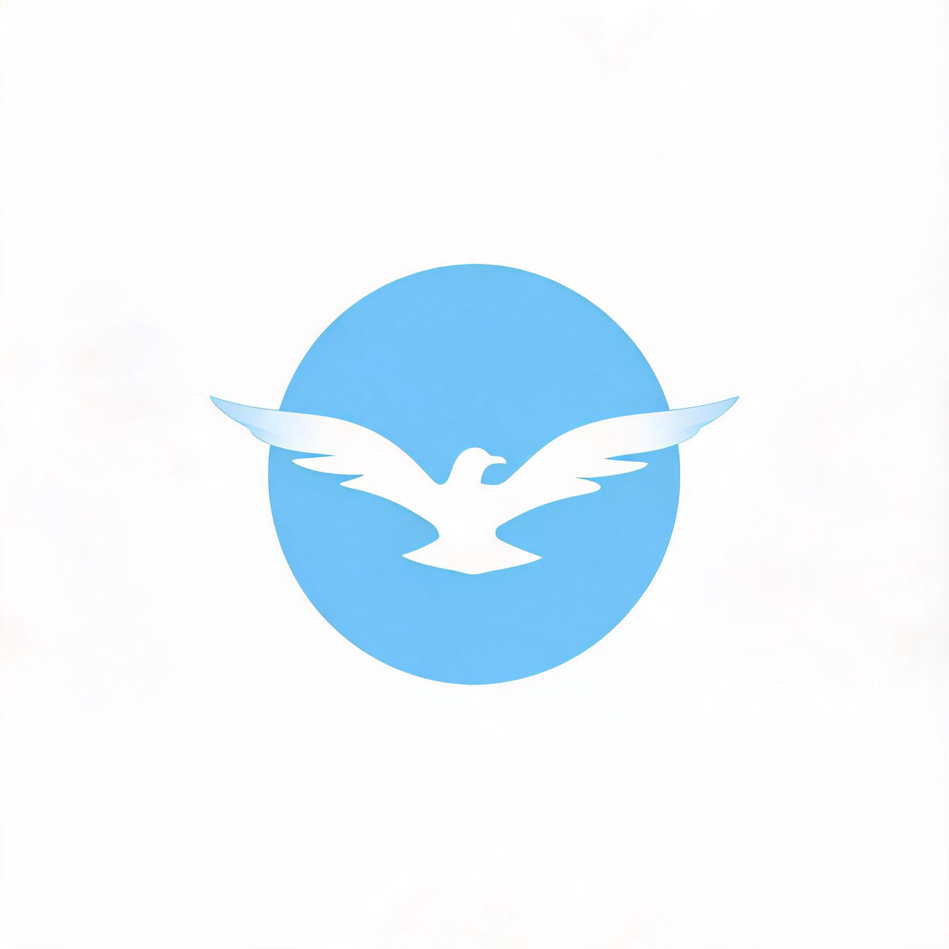 厦门航空
