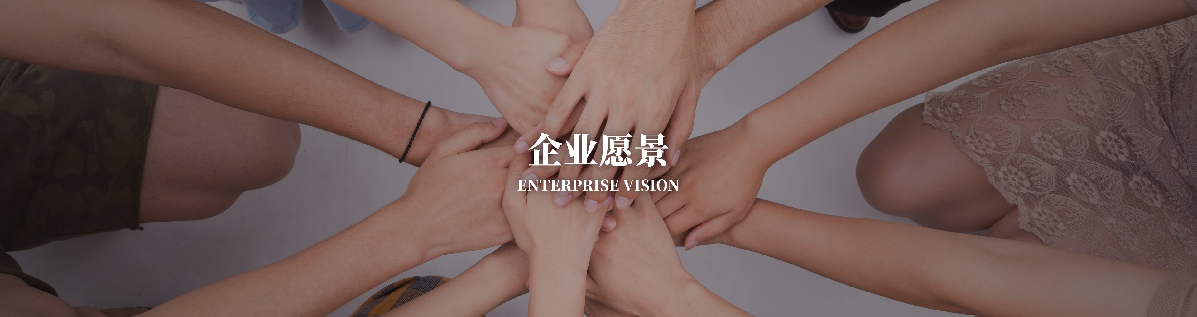 企业愿景
