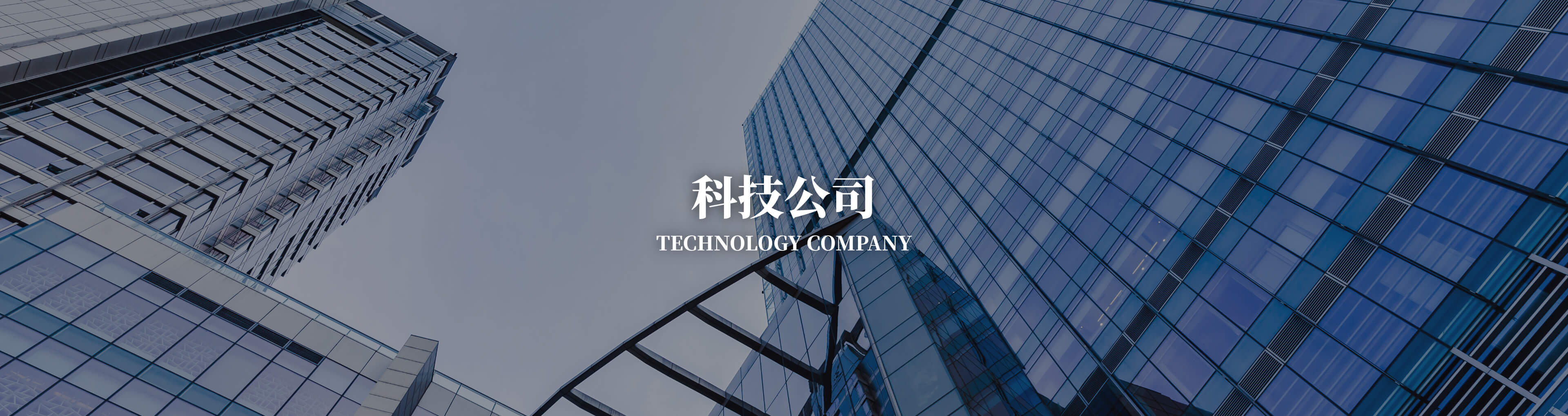 科技公司